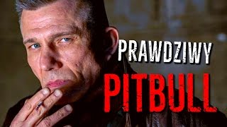 Prawdziwy PITBULL  Sławomir Opala  NIEDIEGETYCZNE [upl. by Affra911]