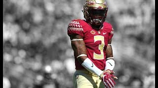 Derwin James ll quotHardest Hitting Safety In The Draftquot ll Official FSU Highlights ᴴᴰ [upl. by Kreg374]