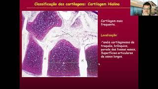 Histologia do Tecido Cartilaginoso – Parte 02 [upl. by Roque]