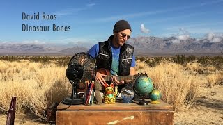 David Roos  Dinosaur Bones  NPR Tiny Desk Music Video [upl. by Sparkie]