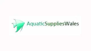 Aquarium amp Pond Supplies  Aquatic Supplies Wales [upl. by Neisa]