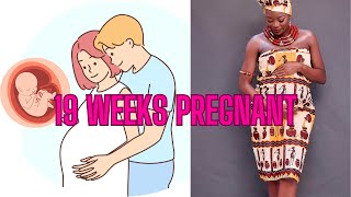 19 WEEKS PREGNANT WHAT TO EXPECT WEEK BY WEEK [upl. by Leandre]