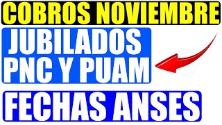 👉 Las fechas de cobro en las Pensiones NO Contributivas comienzan el 8 de OCTUBRE 2024 y NO el 1° [upl. by Dodi]