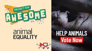 Help Animals during Project for Awesome 2024  Vote for ANIMAL EQUALITY [upl. by Keenan]