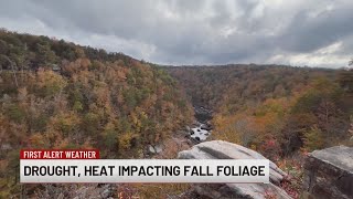 How Weather amp Climate Affect Fall Foliage in Alabama [upl. by Adniled]