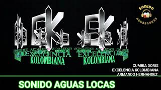 CUMBIA DORIS  EXCELENCIA KOLOMBIANA 2023 FT SONIDO AGUAS LOCAS [upl. by Niwrud518]