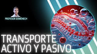 Los secretos del TRANSPORTE ACTIVO y PASIVO en bacterias [upl. by Tarrah]