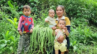 Harvest long beans with your children and bring them to the market to sell  feed them porridge [upl. by Nygem98]