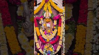 Amma bhavani song durga jaimatadi mahalakshmi 2024 shakti matarani kanakadurgamma shorts [upl. by Sewel830]