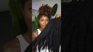 Marley Twists over my Microlocs 😍 [upl. by Viva868]