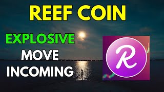 REEF COIN Price News Today Technical Analysis and Price Prediction [upl. by Harbird]