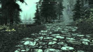 Skyrim How To Get The Rueful Axe Rare Axe [upl. by Gurolinick844]