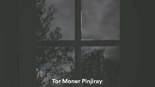 Tor Moner Pinjiray Status  Jisan Khan Shuvo  Ei Ronger Duniyai Amar Chawar Kichu Nai Status [upl. by Rahcir472]