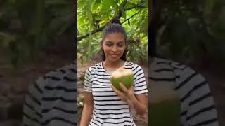 Le presento el fruto coco fruit naturaleza frutas [upl. by Euqinemod]