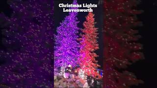 Christmas Lights Leavenworth 2023  WA USA shorts [upl. by Ottilie]