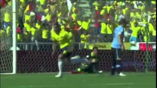 Selección Colombia  Gol Cali Y El Dandee 2014 [upl. by Enieledam]