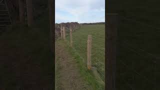 View at Upright Cliff Hartland Devon [upl. by Gardie]