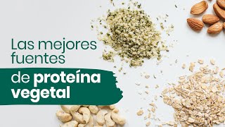 🌱Las mejores fuentes de proteína vegetal [upl. by Epolulot20]