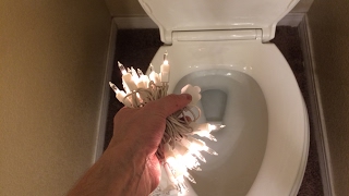 Flushing Some Christmas Holiday Lights Down The Toilet [upl. by Asiralc]