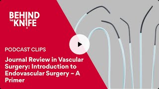 Journal Review in Vascular Surgery Introduction to Endovascular Surgery – A Primer [upl. by Taite930]