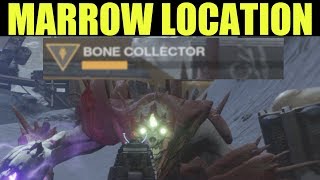 Bone Collectors Marrow Acquired Destiny 2 Bone Collectors Marrow Location Symphony of Death [upl. by Ainegul]