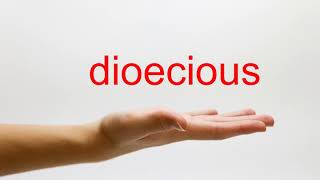 How to Pronounce dioecious  American English [upl. by Mikes]