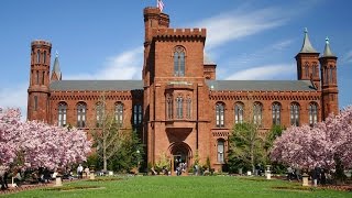 Top 16 Best Museums in Washington DC [upl. by Mosier]