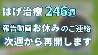 ハゲ治療246週報告おやすみのご連絡 [upl. by Agata]