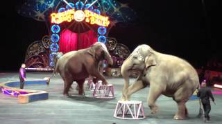 Ringling Bros Circus [upl. by Stulin]