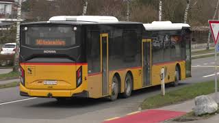 CarPostal Scania 15m WabernNiedermuhlern 202402 [upl. by Elolcin81]