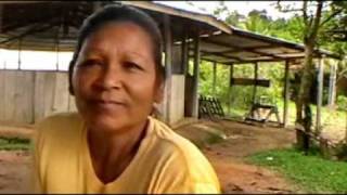 We visit an Arawak indian settlement and speak with some women tribal chief Daniel Gomez [upl. by Romeu]