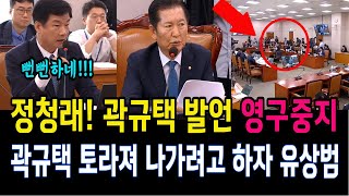 정청래 세다 국힘당 곽규택 발언 영구 정지곽규택 토라져서 나가려고 하자 유상범 [upl. by Esilehc]