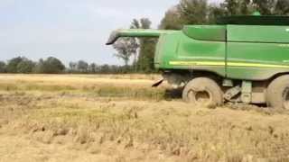 Rice field stuck combine [upl. by Elisha]