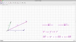 M56 Ch Geom vect video1 w combi lin 2D [upl. by Ailimaj424]