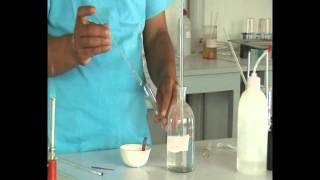 Lab demonstration neutralization reaction [upl. by Grantham]