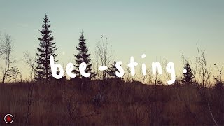 The Wombats  BeeSting Lyrics [upl. by Ybroc]