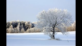 Beautiful Estonia winter [upl. by Oisorbma]