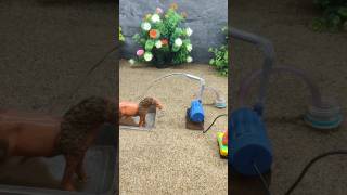 Mini motor pump science project mini tractor making cow water bathed  152 [upl. by Verine943]