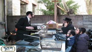 Erev Pesach in Boro Park Part 1 [upl. by Ettezyl]