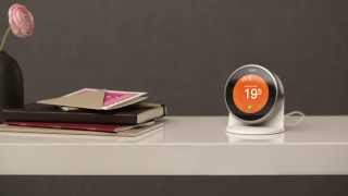 NEST LEARNING THERMOSTAT 3RD G  Slimme thermostaat  Productvideo Vandenborrebe [upl. by Holly-Anne599]