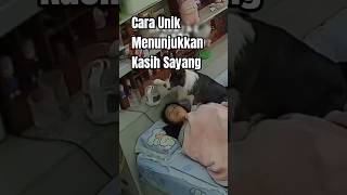 Cara unik menunjukkan kasih sayang  shorts shortvideo trendingshorts anjing menarik kejadian [upl. by Arraeit37]