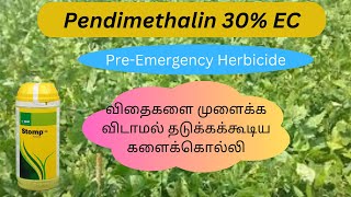 BASF  Stomp EC  Pendimethalin 30EC  Tamil  Herbicide  control of some seed germination [upl. by Detta]