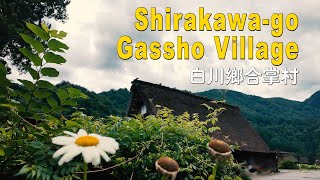 白川鄉合掌村 Shirakawago Gassho Village [upl. by Beret136]