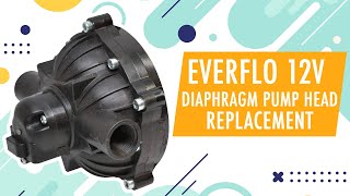 Everflo EF5500KIT 12V Diaphragm Pump Head  Replacement Tutorial [upl. by Ddahc]