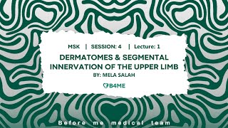 MSK S4  Dermatomes amp Segmental Innervation Of The Upper Limb [upl. by Ailahk640]