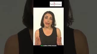 4 Essential Steps to Heal Diastasis Recti with the Tupler Technique® [upl. by Belsky437]