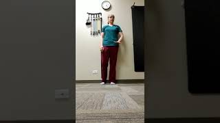 Check Your Balance At Home  Vertigo and Dizziness Treatment  Bloomingdale IL Chiropractor [upl. by Weeks246]