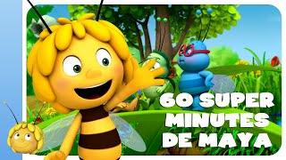 Maya labeille  compilation de 60 super minutes [upl. by Ydnik]