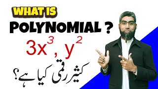 Mastering Polynomials Understanding the BasicsPolynomialsurdu and hindi [upl. by Montana]