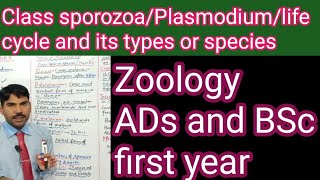 life cycle of plasmodium and its typesMiller harley zoologyCh8 [upl. by Gaven]